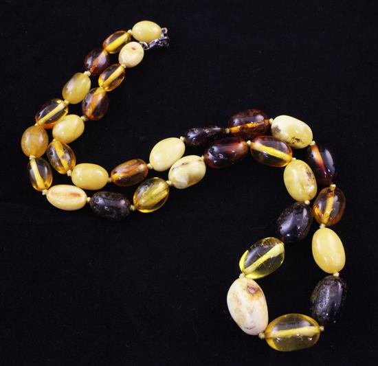 A single strand multi coloured amber bead necklace, 20in.